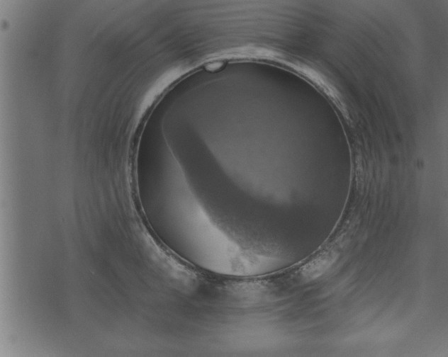 X0000073890998200608180929