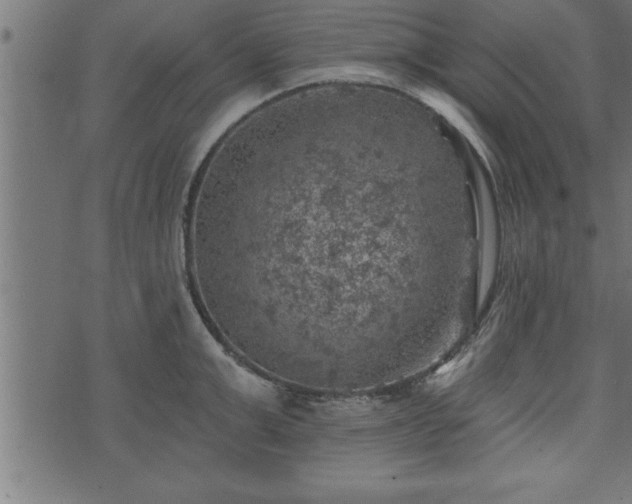 X0000073890999200608180929