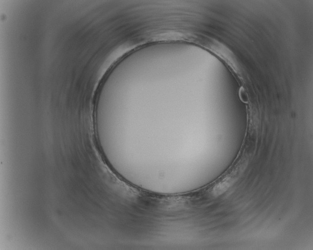 X0000073891000200608180929