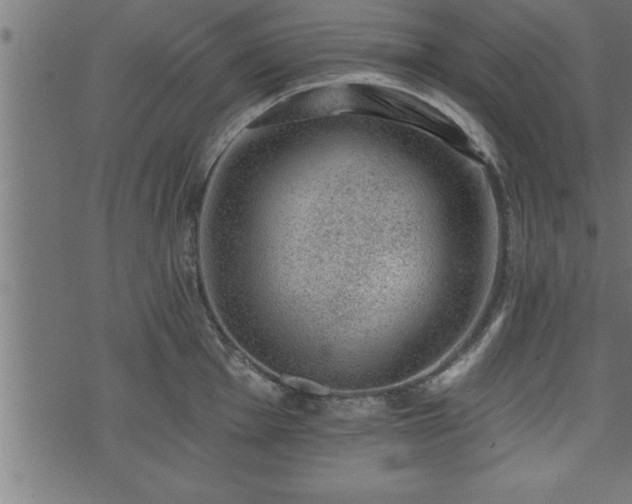 X0000073891001200608180929