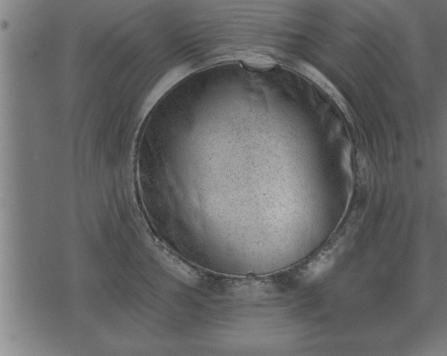 X0000073891002200608180929