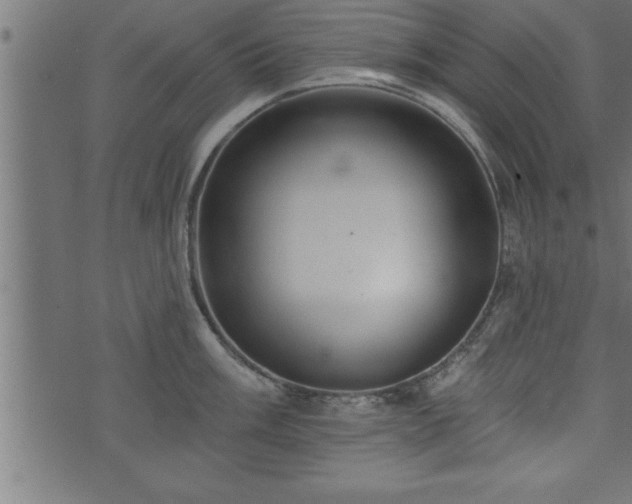 X0000073891003200608180929