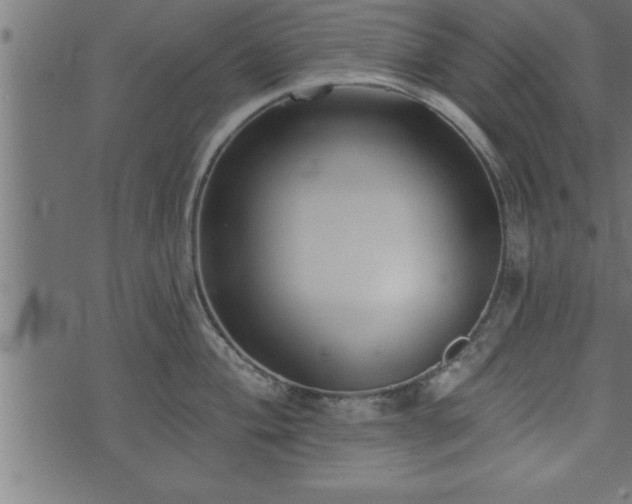 X0000073891004200608180929