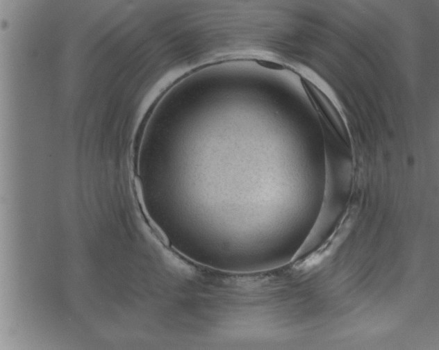 X0000073891005200608180929