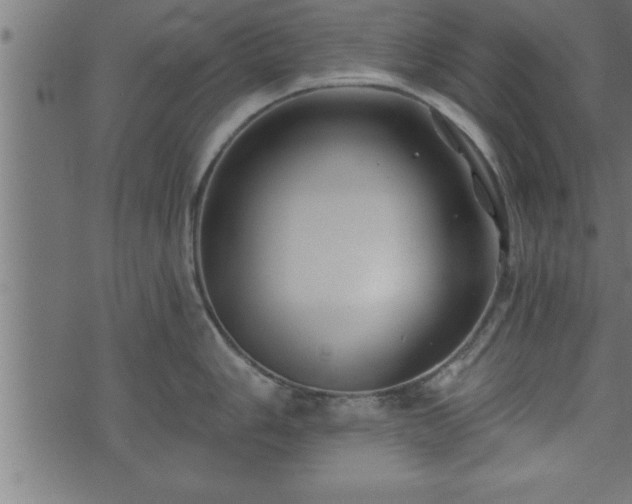 X0000073891006200608180929