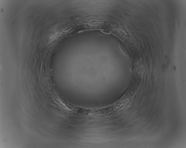 X0000073891009200608180928