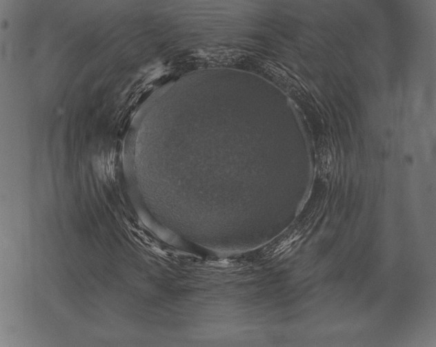 X0000073891010200608180928