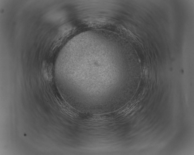 X0000073891012200608180928