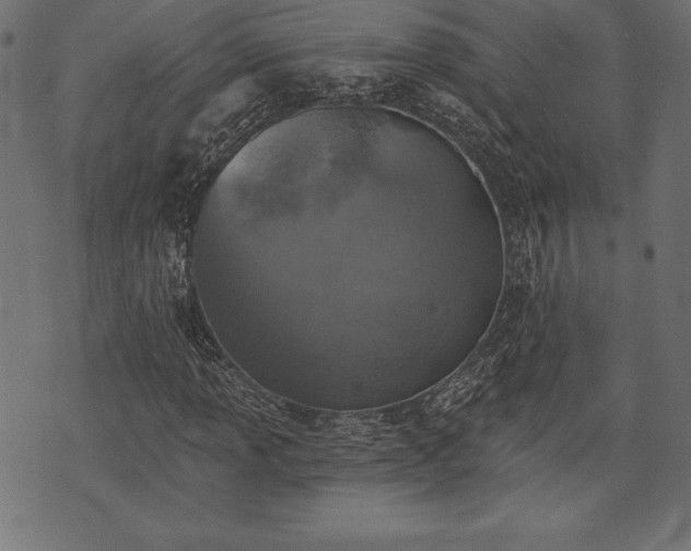 X0000073891013200608180928