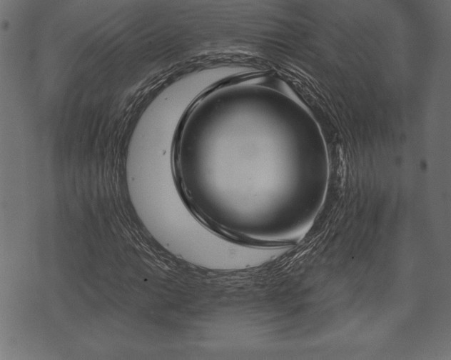 X0000073891014200608180928