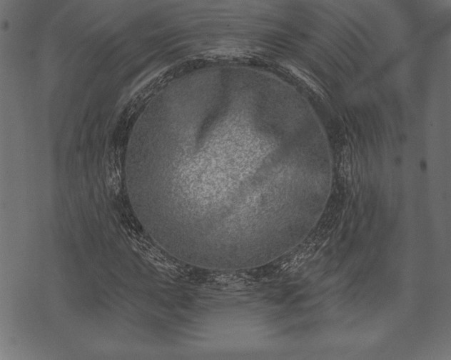 X0000073891015200608180928