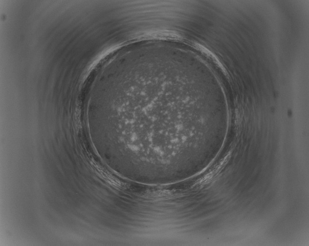 X0000073891019200608180928