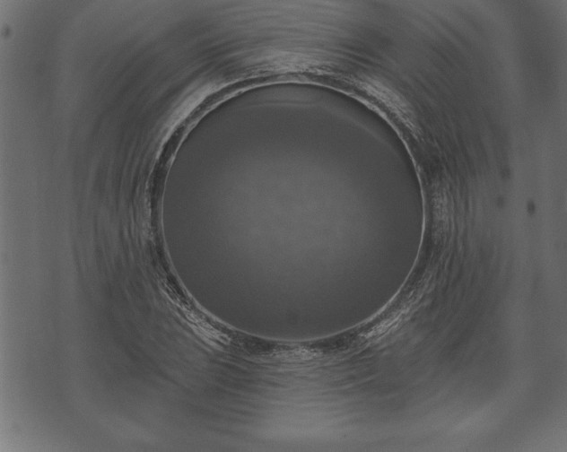 X0000073891023200608180928