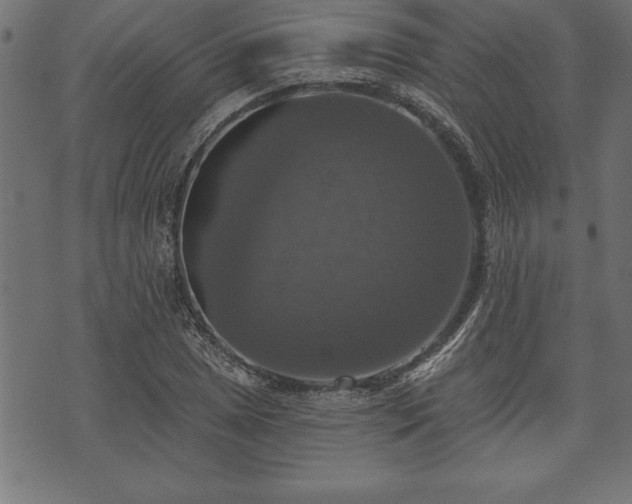 X0000073891025200608180928