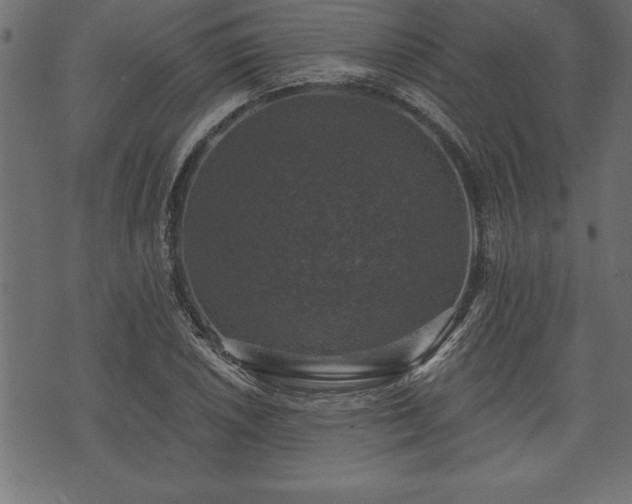 X0000073891026200608180928