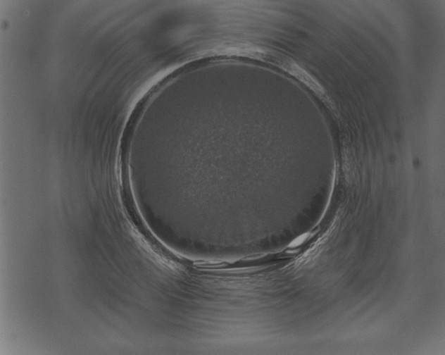 X0000073891028200608180928