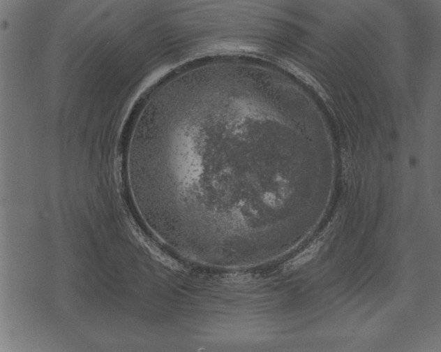 X0000073891029200608180928