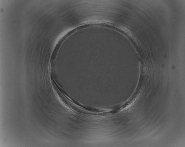 X0000073891030200608180928