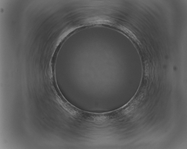 X0000073891031200608180928