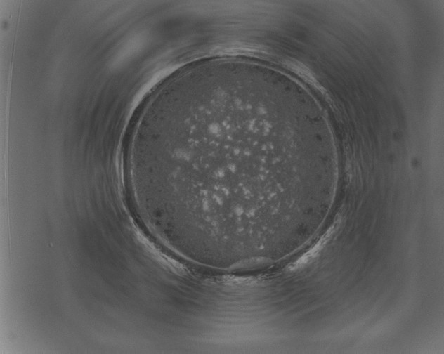 X0000073891032200608180928