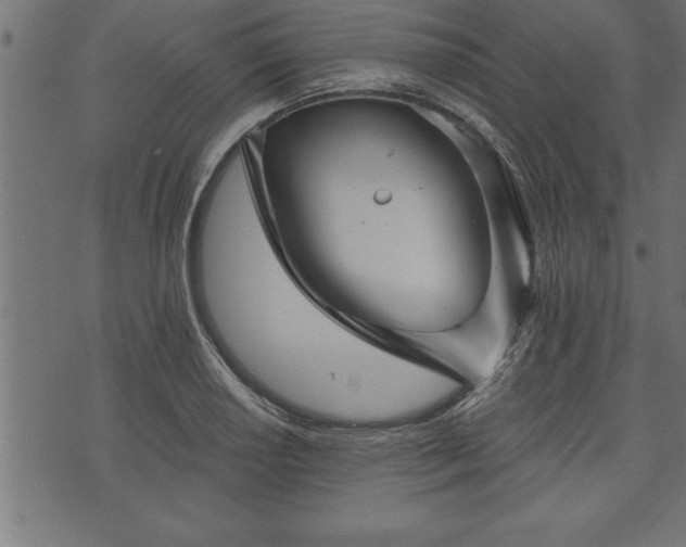 X0000073891034200608180928