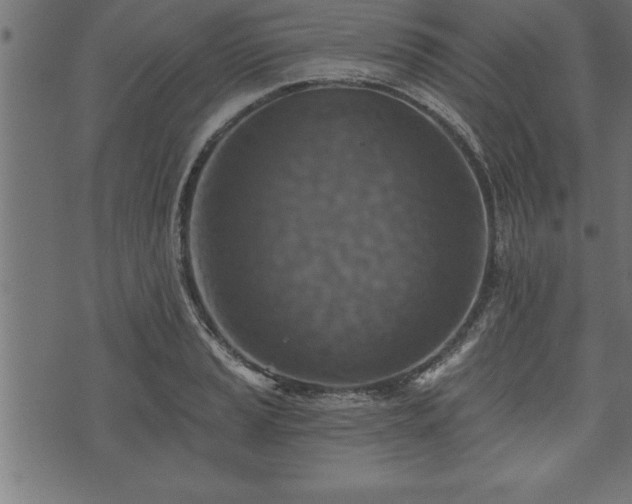 X0000073891037200608180928