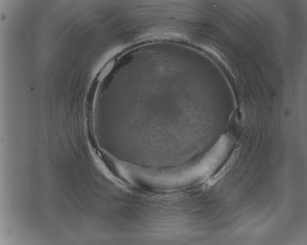 X0000073891038200608180928