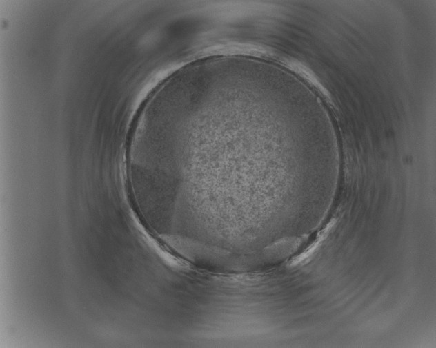 X0000073891040200608180928