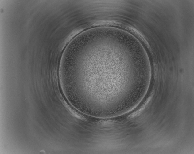 X0000073891041200608180928