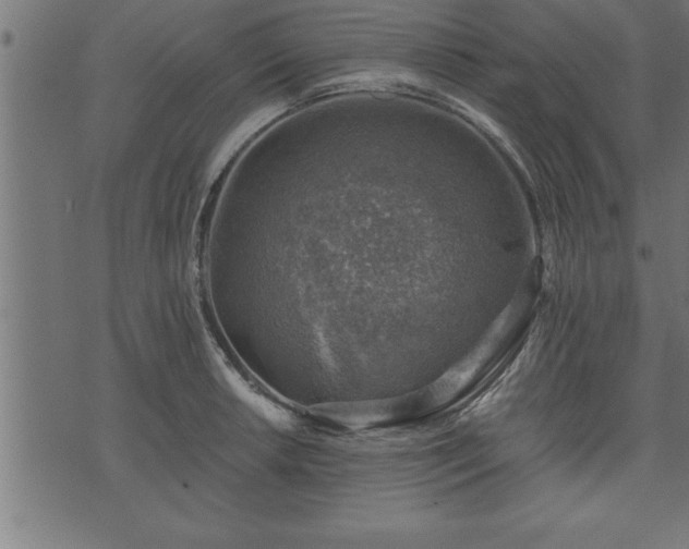 X0000073891042200608180928