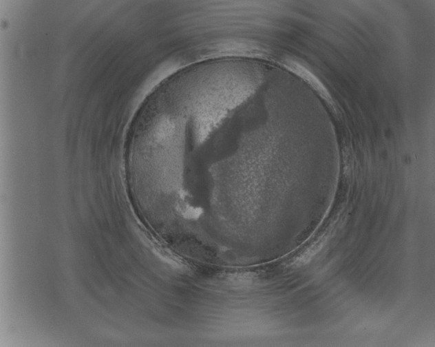 X0000073891043200608180928