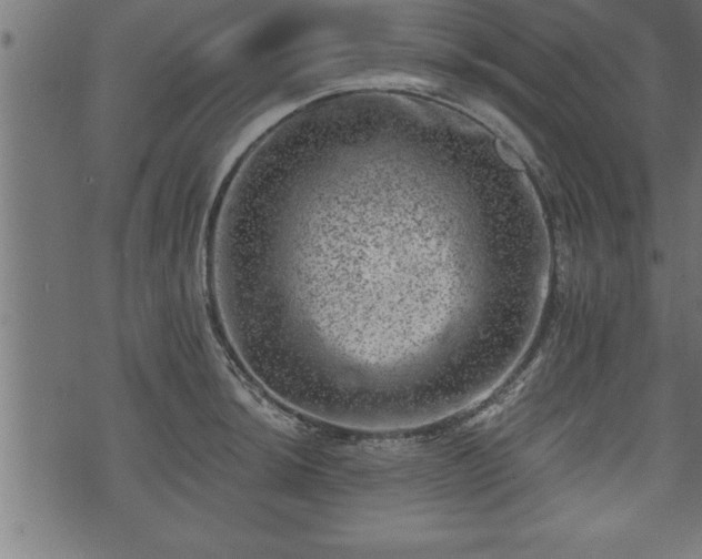 X0000073891044200608180928