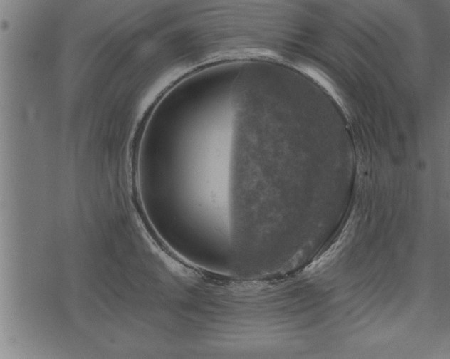 X0000073891046200608180929