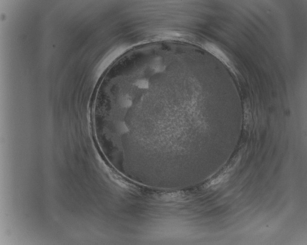 X0000073891047200608180929