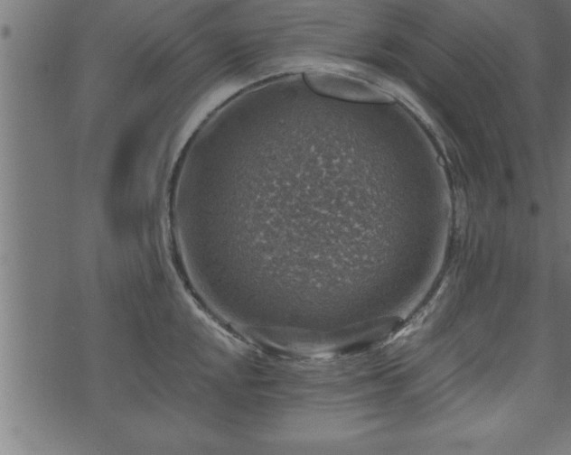 X0000073891048200608180929