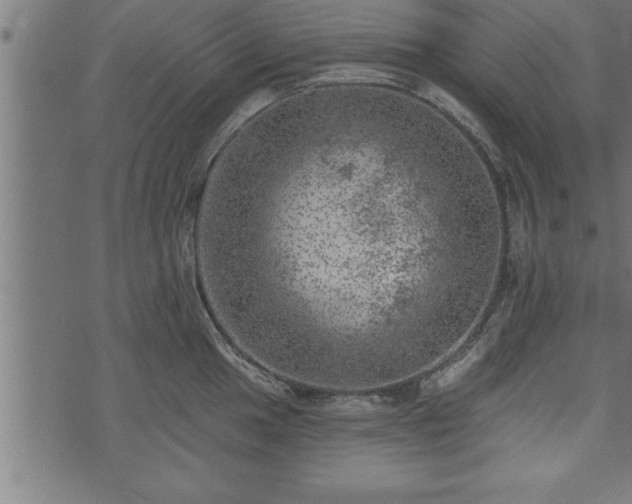 X0000073891049200608180929