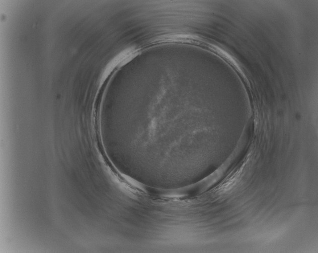 X0000073891050200608180929