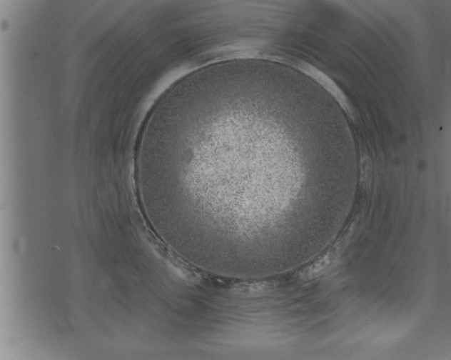 X0000073891051200608180929