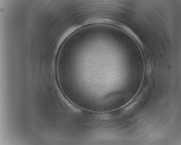 X0000073891053200608180929