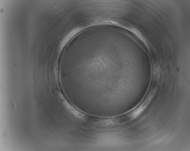 X0000073891054200608180929