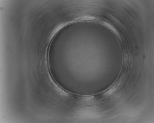 X0000073891055200608180929