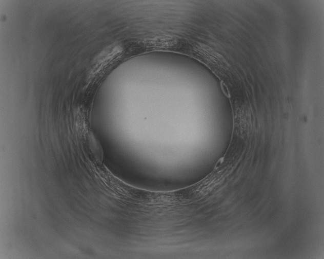 X0000073891058200608180928