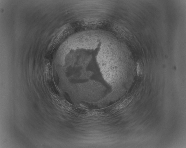 X0000073891059200608180928