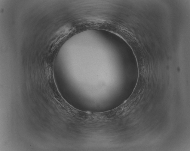 X0000073891061200608180928