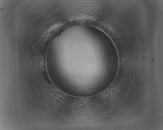 X0000073891062200608180928