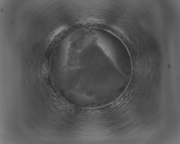 X0000073891063200608180928