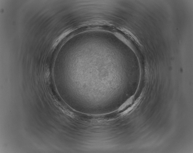 X0000073891065200608180928