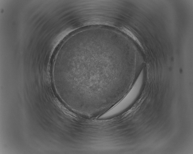 X0000073891068200608180928