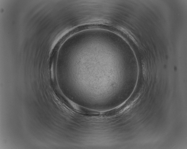 X0000073891069200608180928