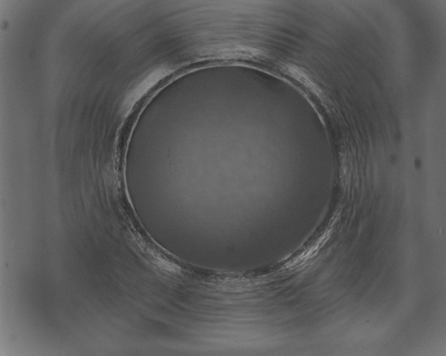 X0000073891071200608180928